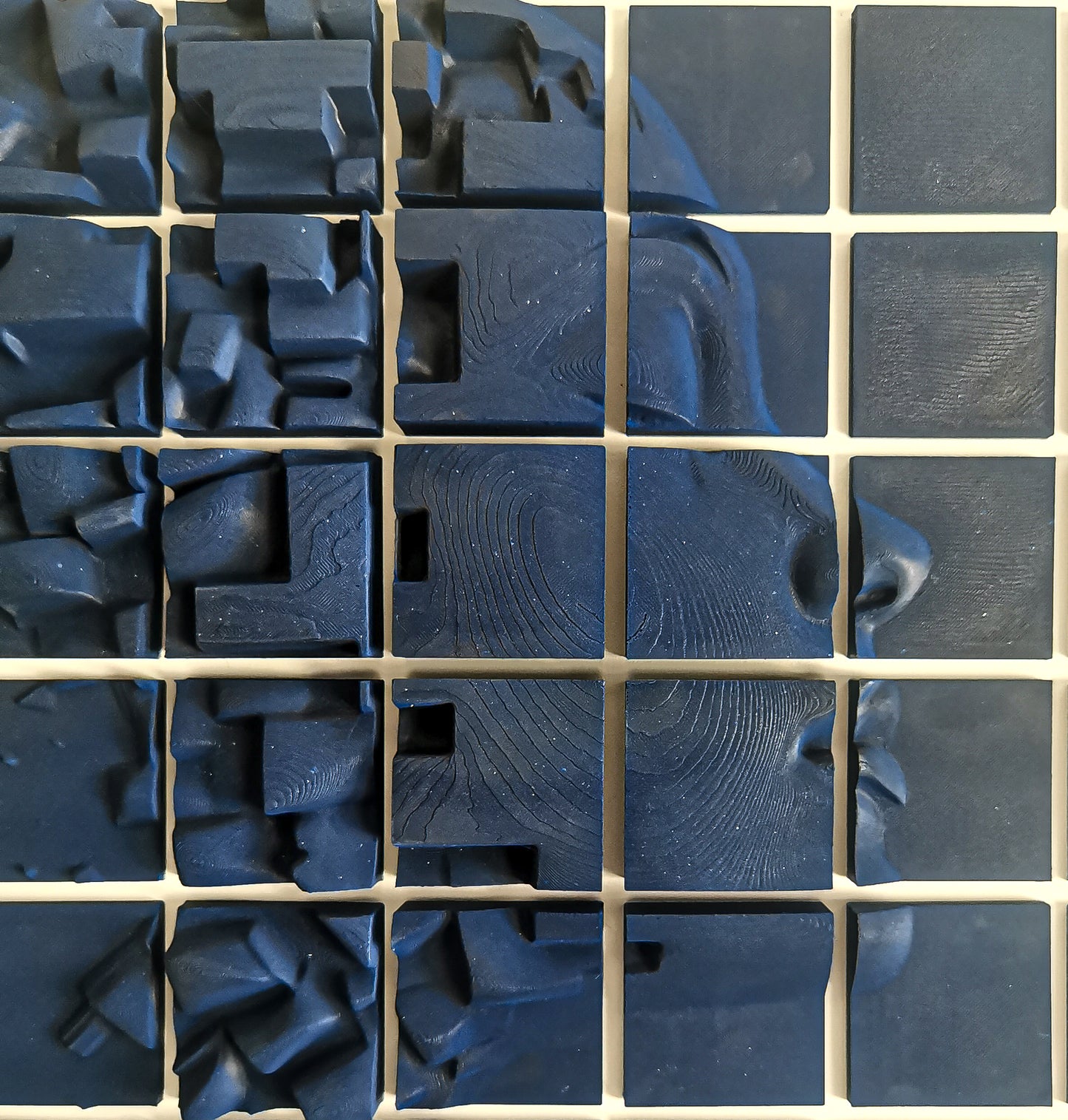 Fragmented Mind