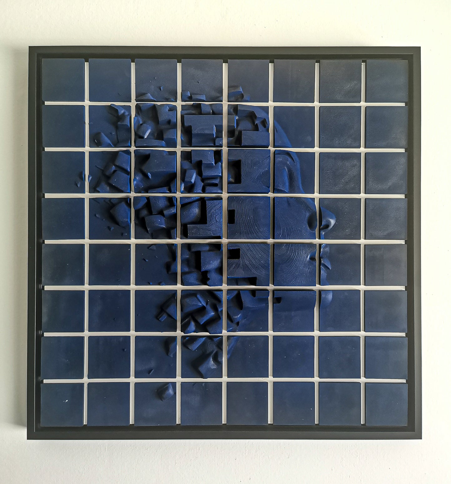 Fragmented Mind
